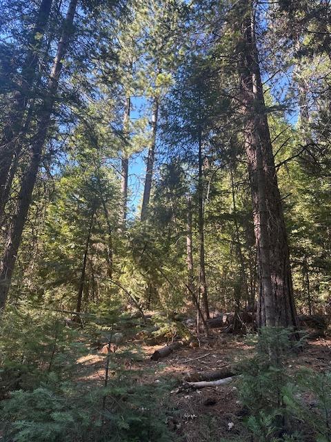 Undisclosed Address Alta, CA 95701 - Photo 3 of 14