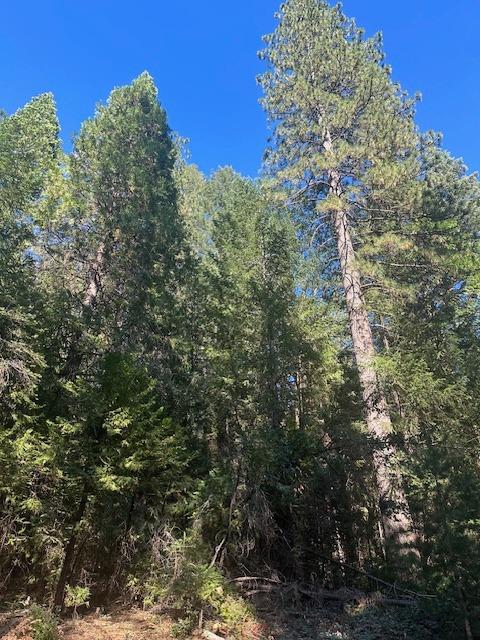 Undisclosed Address Alta, CA 95701 - Photo 5 of 14