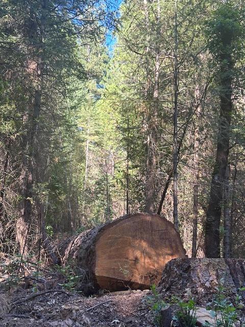 Undisclosed Address Alta, CA 95701 - Photo 6 of 14