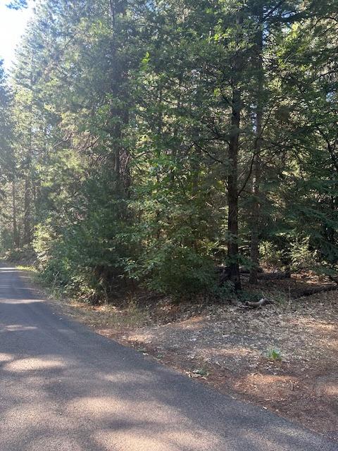 Undisclosed Address Alta, CA 95701 - Photo 7 of 14