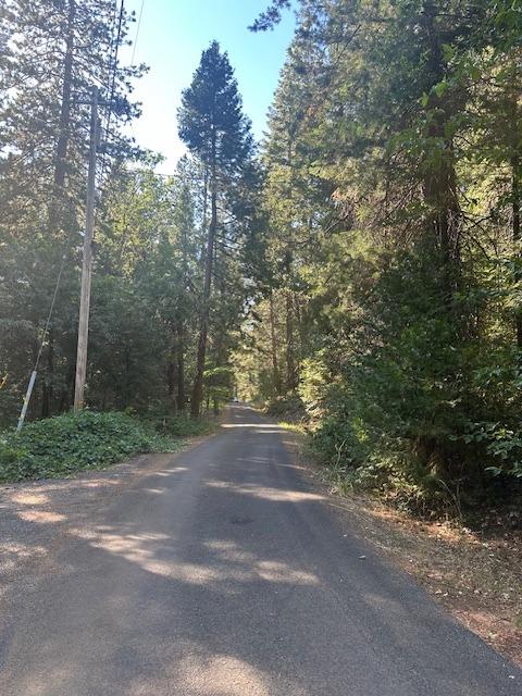 Undisclosed Address Alta, CA 95701 - Photo 8 of 14