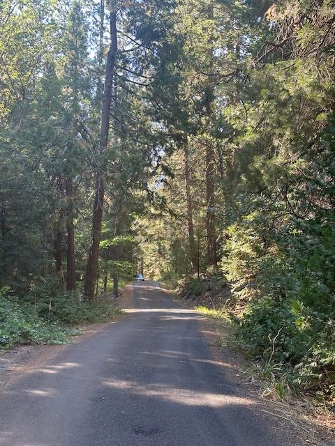 Undisclosed Address Alta, CA 95701 - Photo 9 of 14