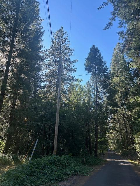 Undisclosed Address Alta, CA 95701 - Photo 10 of 14