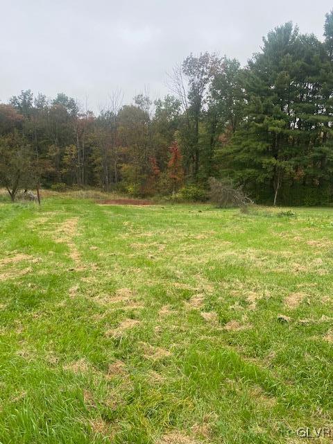 6065 Trexler Road Germansville, PA 18053 - Photo 3 of 15 Gallery Image 3
