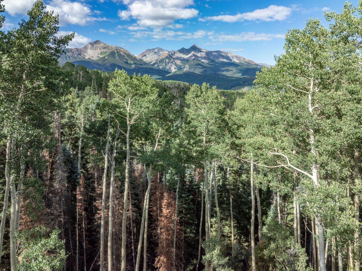 Tbd Elk Run Telluride, CO 81435 - Photo 5 of 18 a view of a green yard with a house in the background