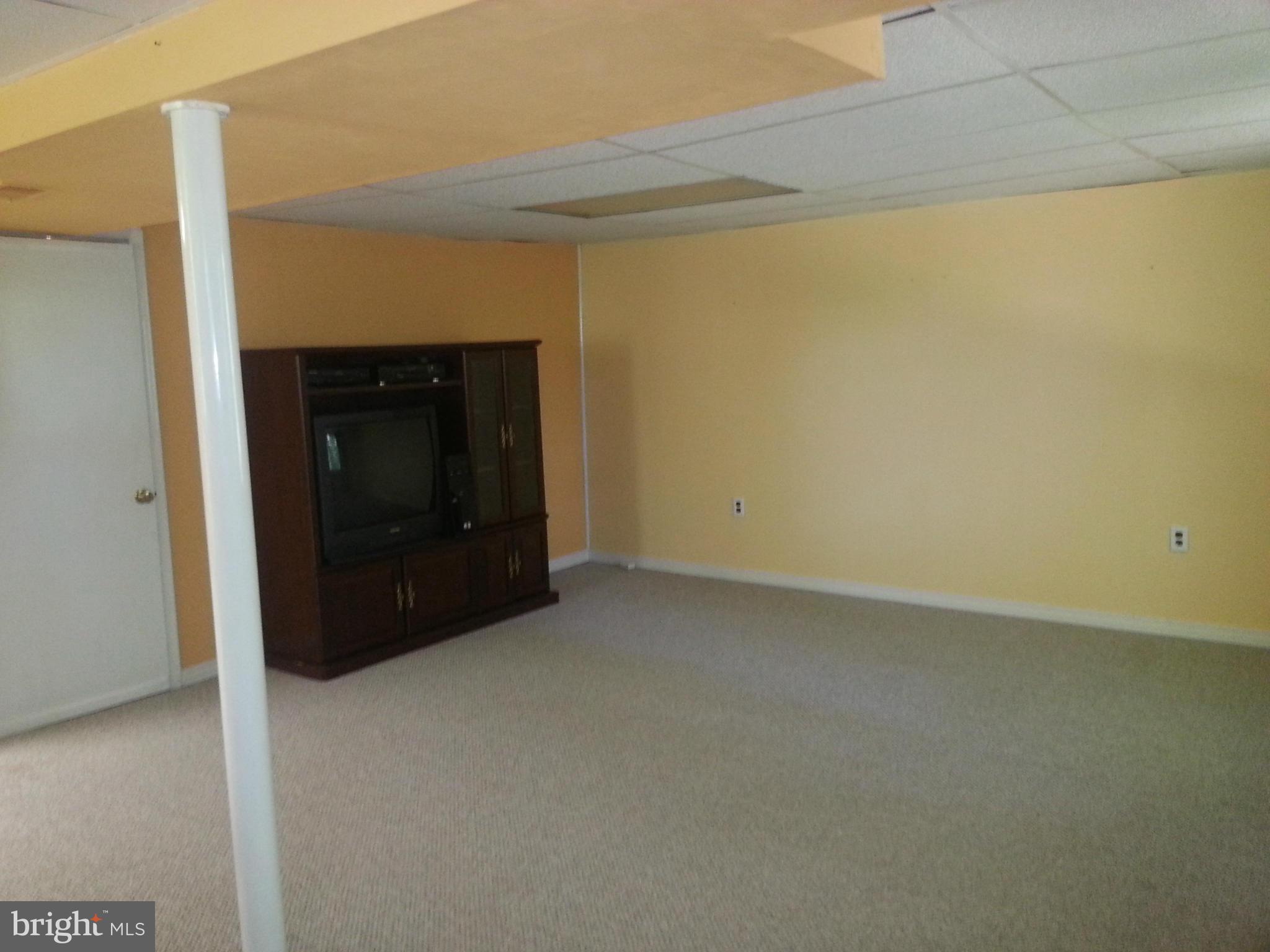 11213 Sandyvale Road Kingsville, MD 21087 - Photo 22 of 30 BASEMENT REC ROOM