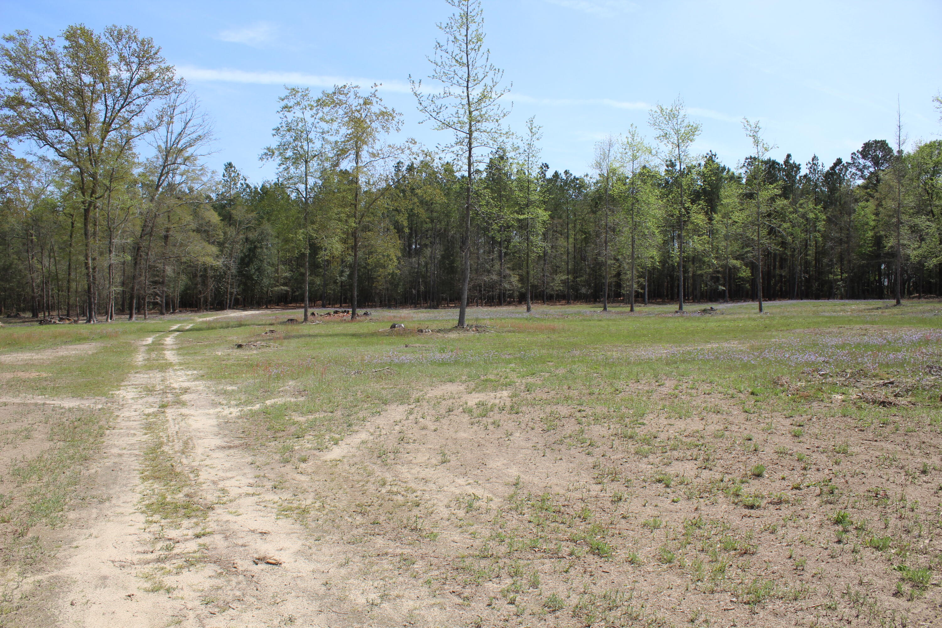 145 A Raymond Road Orangeburg, SC 29118 - Photo 36 of 52 IMG_6391