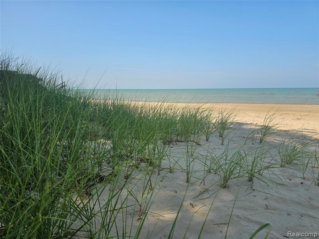 4682 Port Austin Road Caseville, MI 48725 - Photo 1 of 21