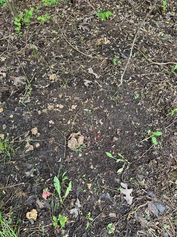 $96,000 | 12711 Dude Lane, De Soto, MO 63020