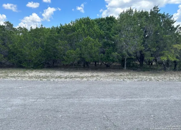 a view of a field with trees in the background
