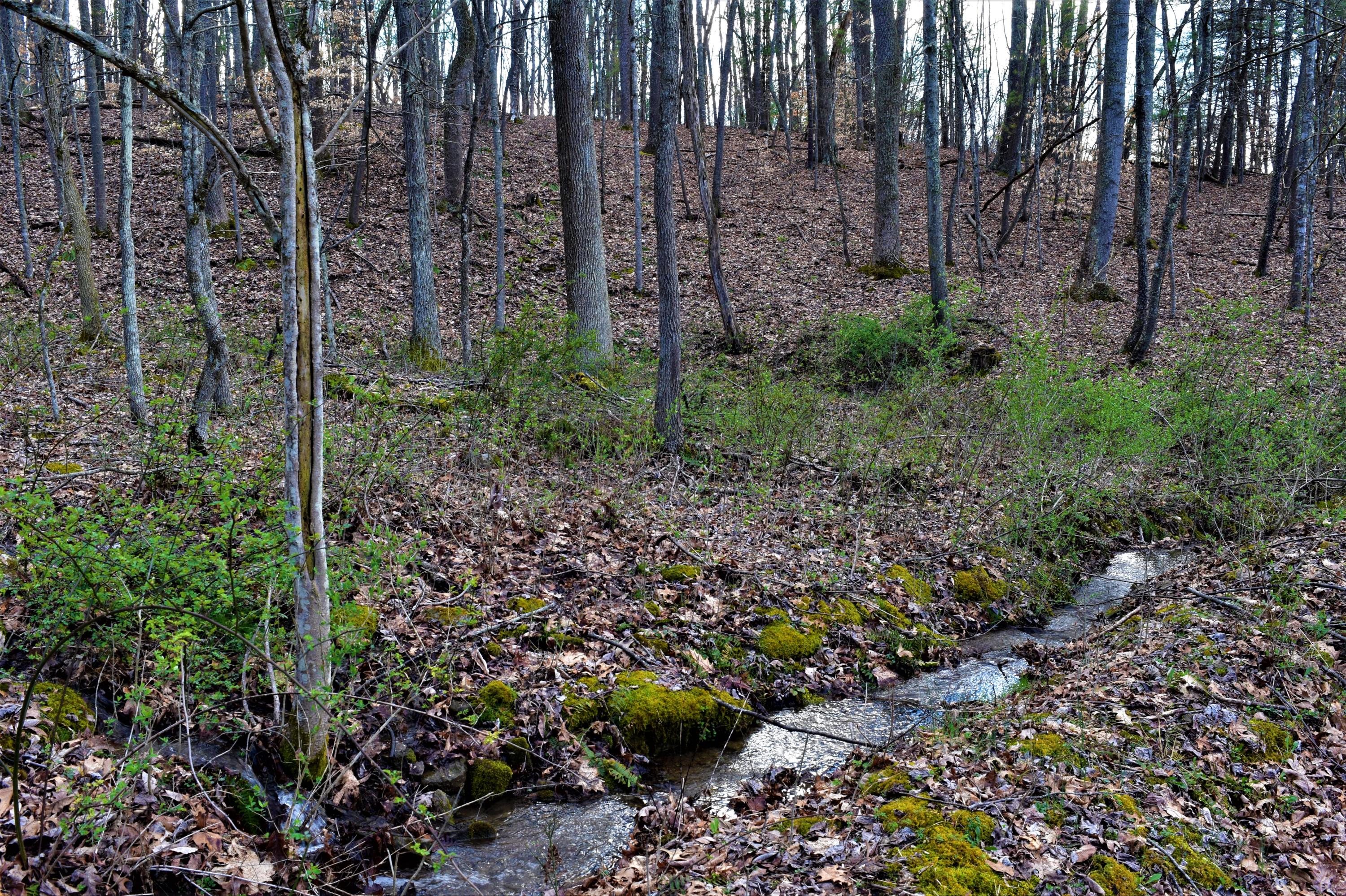 50 Lonnie Mann Road Hinton, WV 25951 - Photo 6 of 63 Gallery Image 6