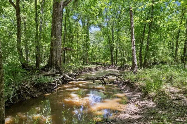 a view of outdoor space and trees
