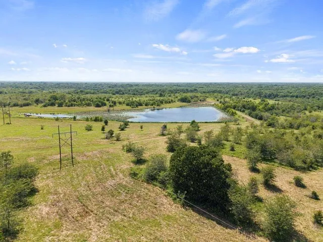a view of an ocean from a yard