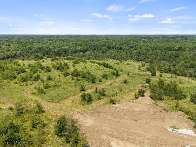 an aerial view of residential houses with outdoor space and trees