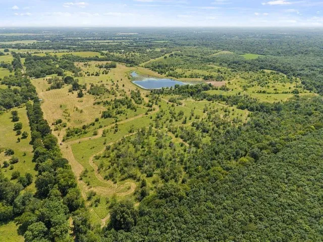 a view of a dry yard with green space