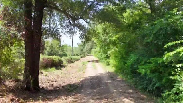 a view of a tennis court