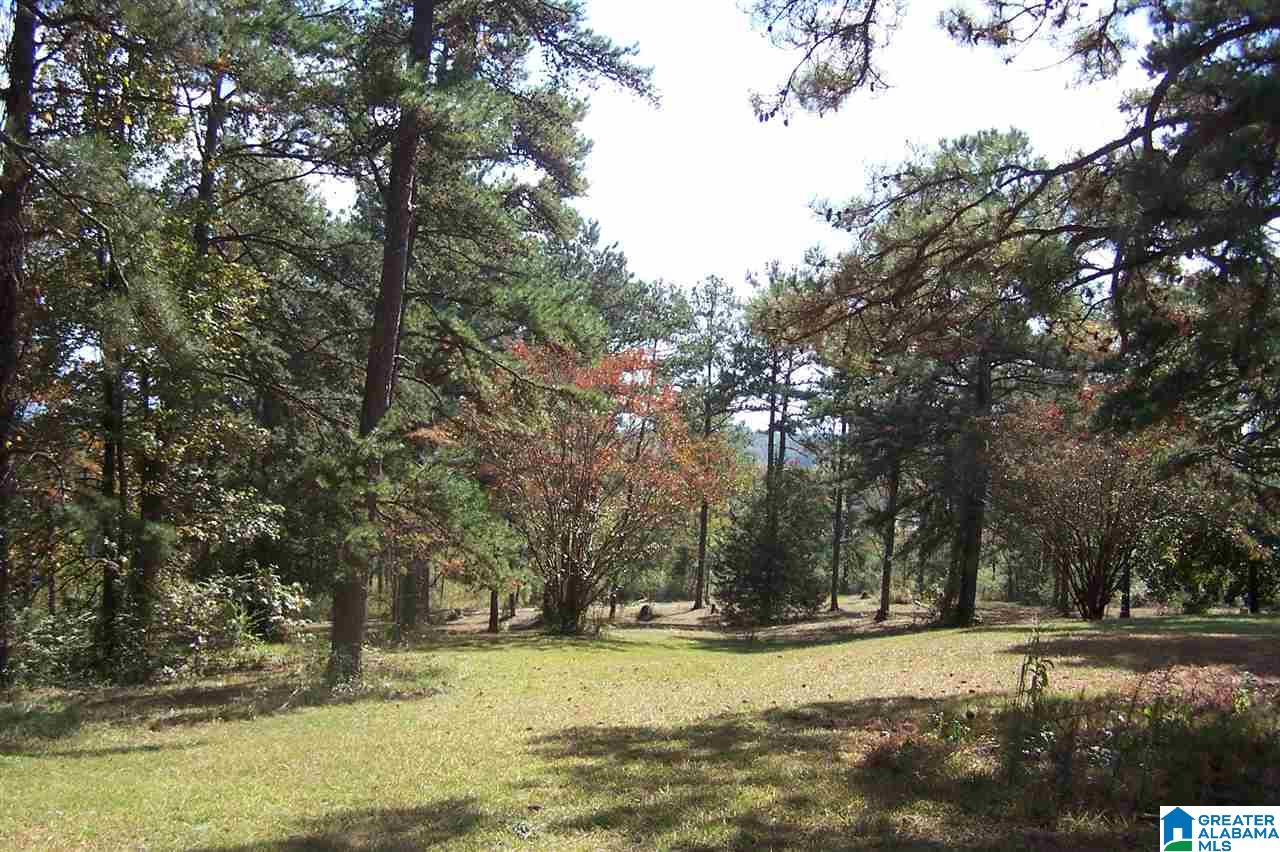 4907 County Road 45 Hayden, AL 35079 - Photo 7 of 28