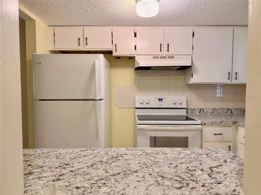4746 Azalea Drive, Unit 213 New Port Richey, FL 34652 - Photo 6 of 28