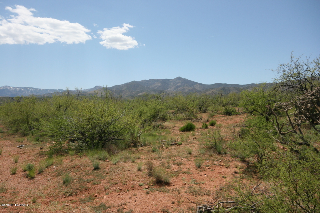 81483 East Goldbug Road Oracle, AZ 85623 - Photo 7 of 12