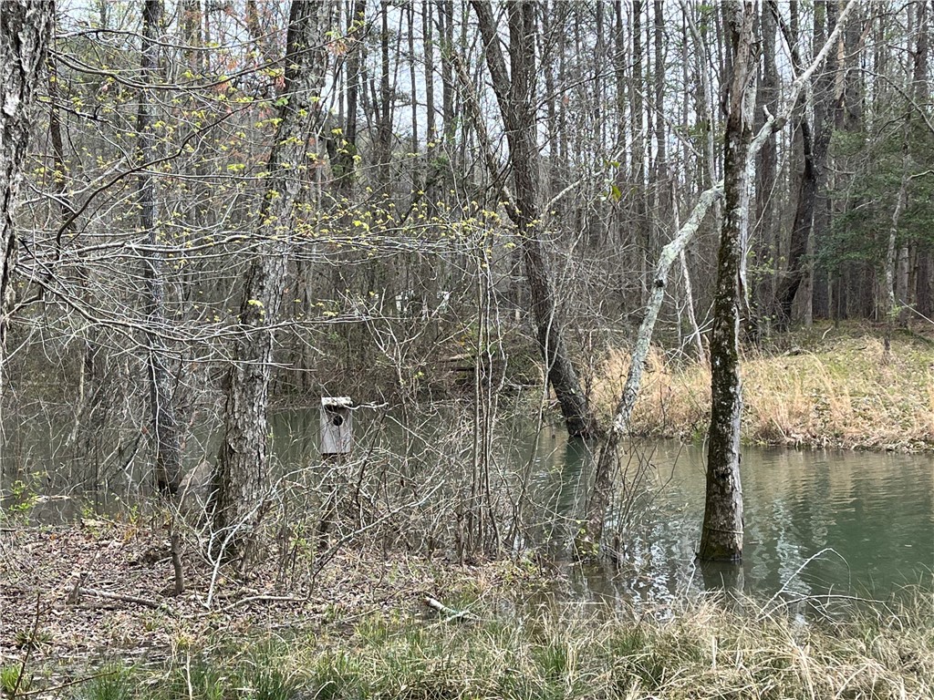 150 Cooper Road Westminster, SC 29693 - Photo 14 of 17 Gallery Image 14