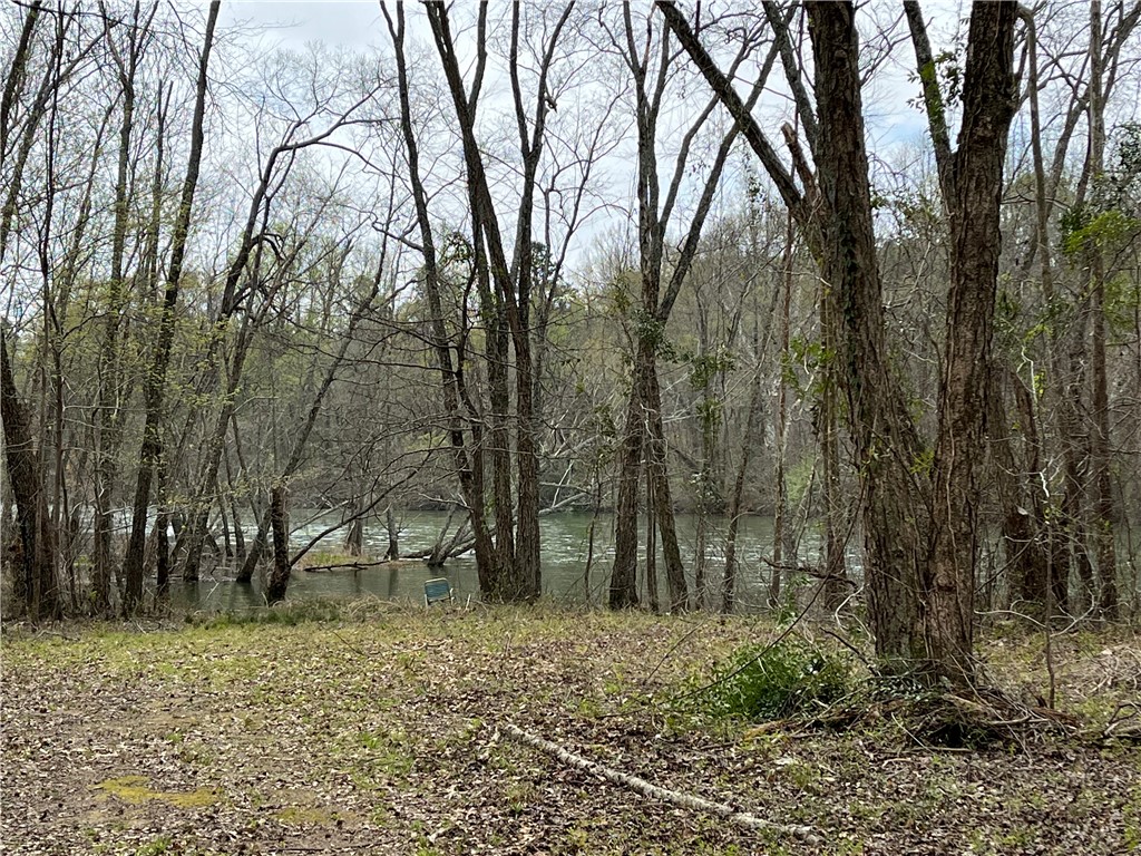 150 Cooper Road Westminster, SC 29693 - Photo 15 of 17 Gallery Image 15