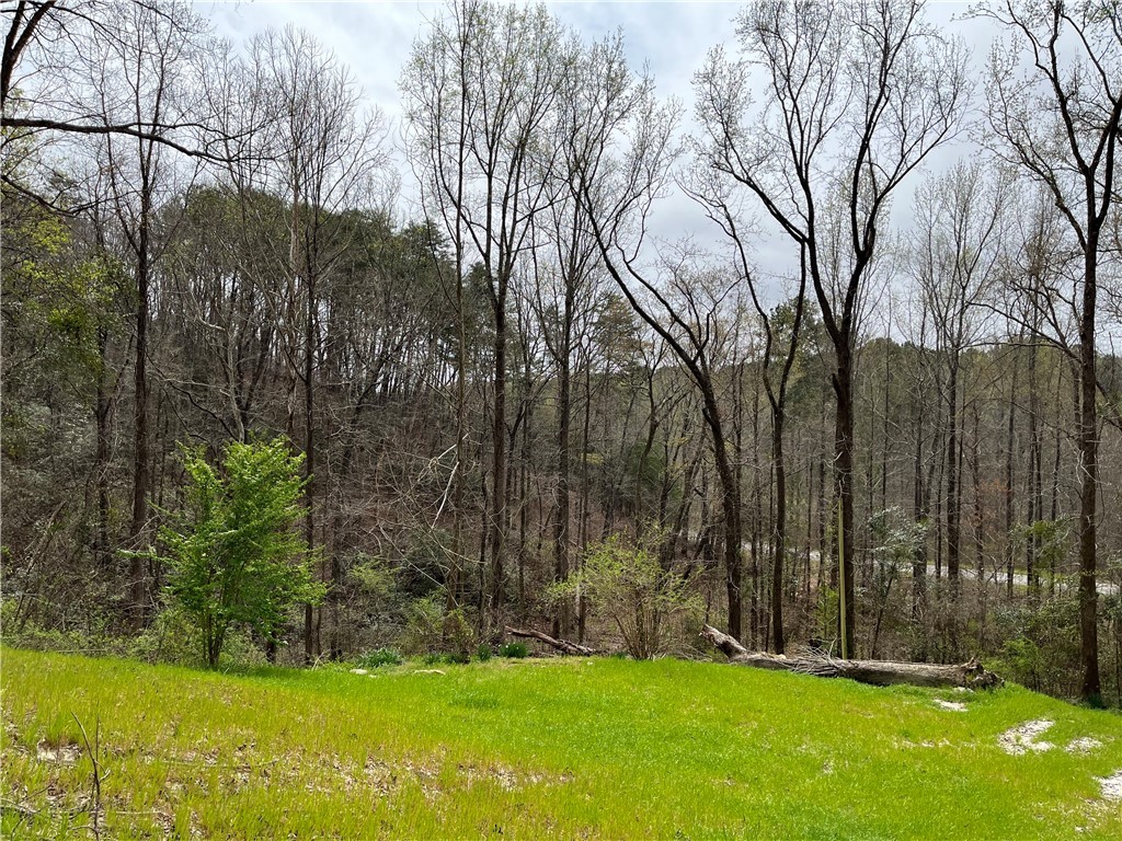 150 Cooper Road Westminster, SC 29693 - Photo 5 of 17 Gallery Image 5