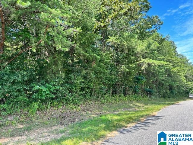 520 18th Street, Unit 71 Calera, AL 35040 - Photo 5 of 6