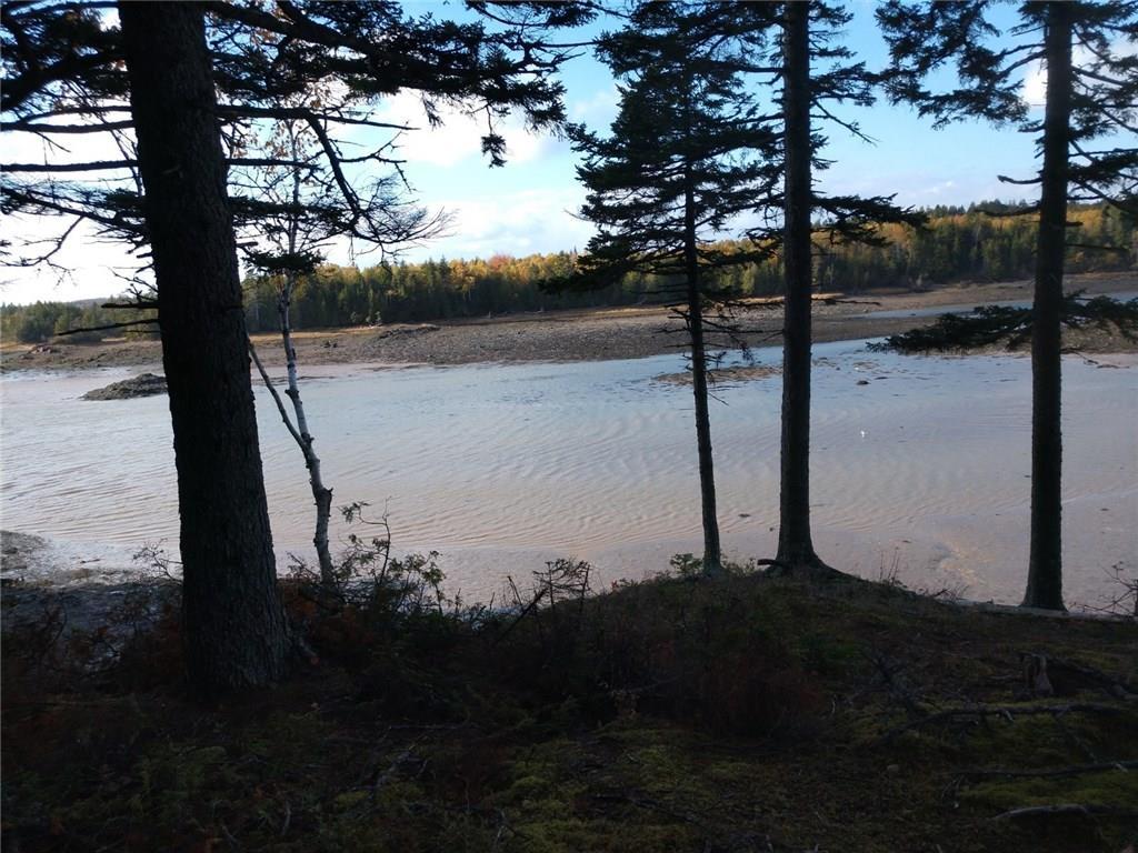 Lot 3 North Shores Road Lubec, ME 04652 - Photo 13 of 13 Photo