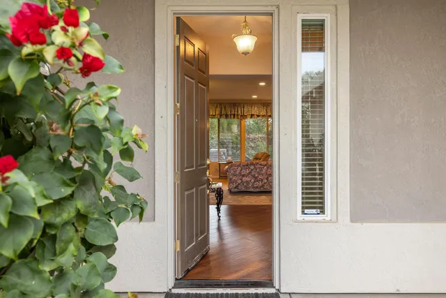 a view of a flower pot