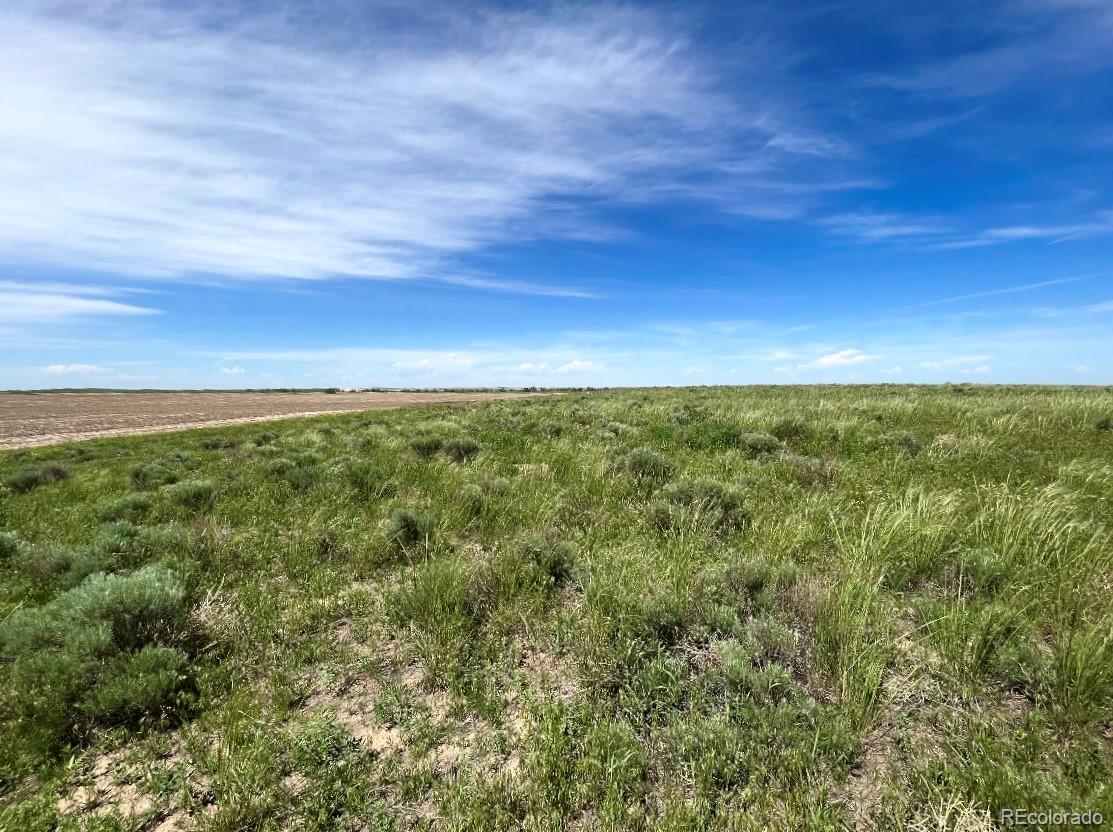 1 Mimosa Road Byers, CO 80103 - Photo 4 of 4 Gallery Image 4