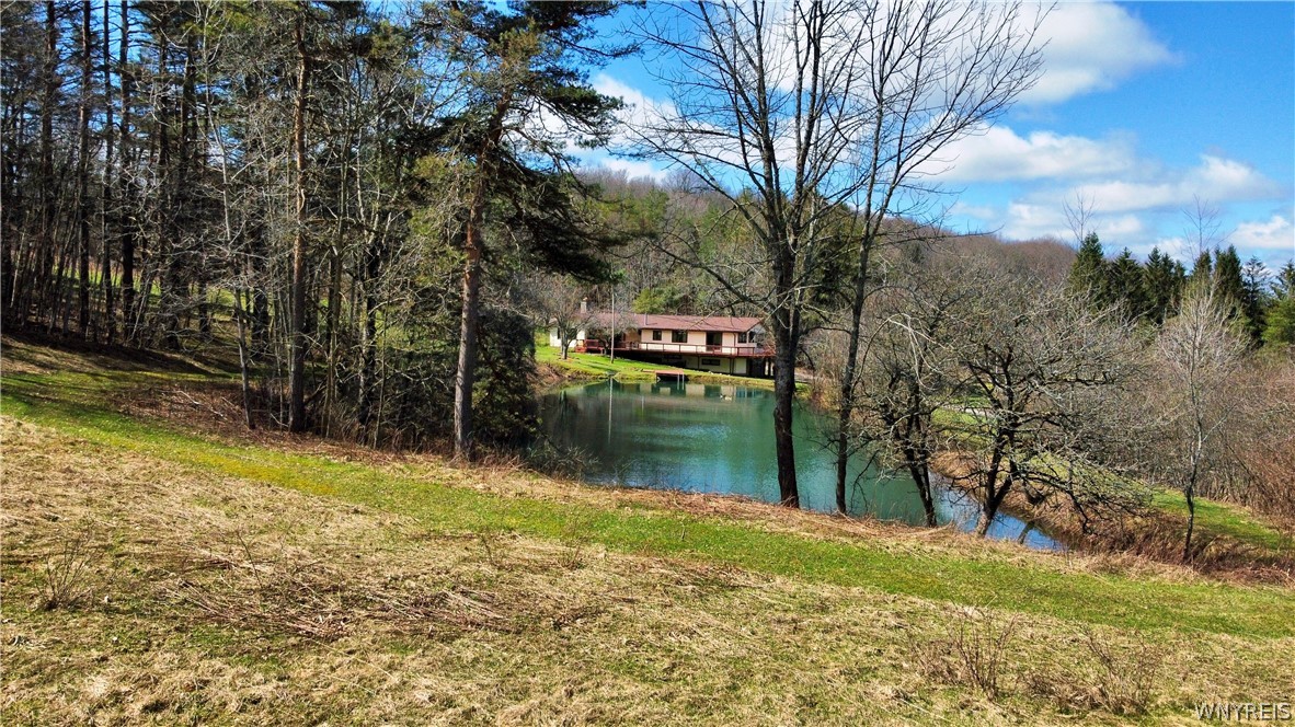 7044 Crane Road Ellicottville, NY 14731 - Photo 41 of 50