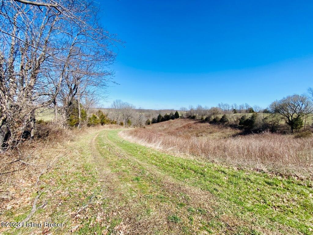 1945 Long Run Road Springfield, KY 40069 - Photo 72 of 81 IMG_2527