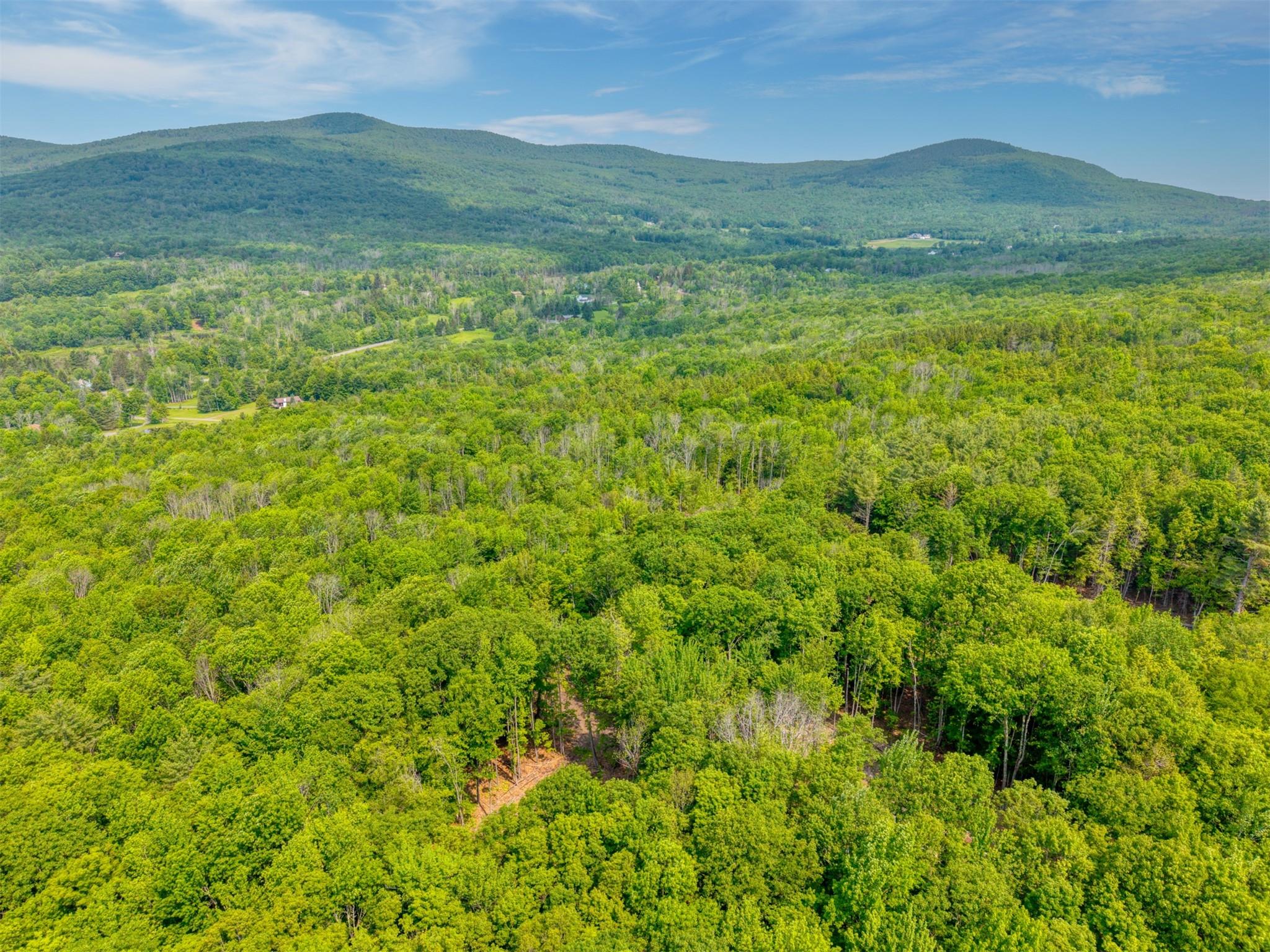Tbd Boulder Brook Road Windham, NY 12496 - Photo 11 of 40 a view of an mountain with a garden