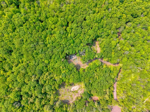 a backyard of a house with a tree