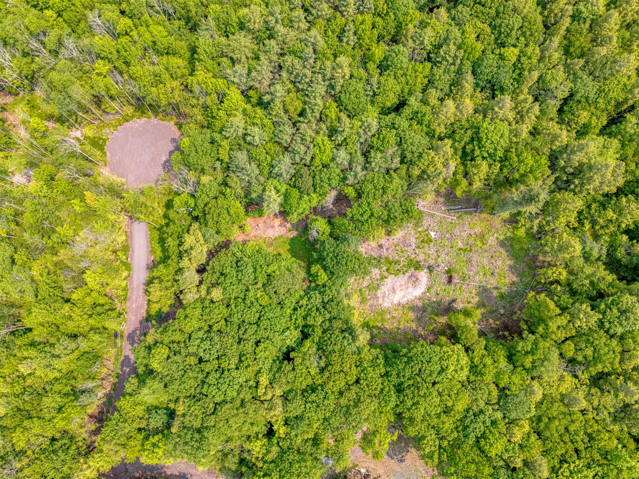 Tbd Boulder Brook Road Windham, NY 12496 - Photo 20 of 40 a picture of a tree