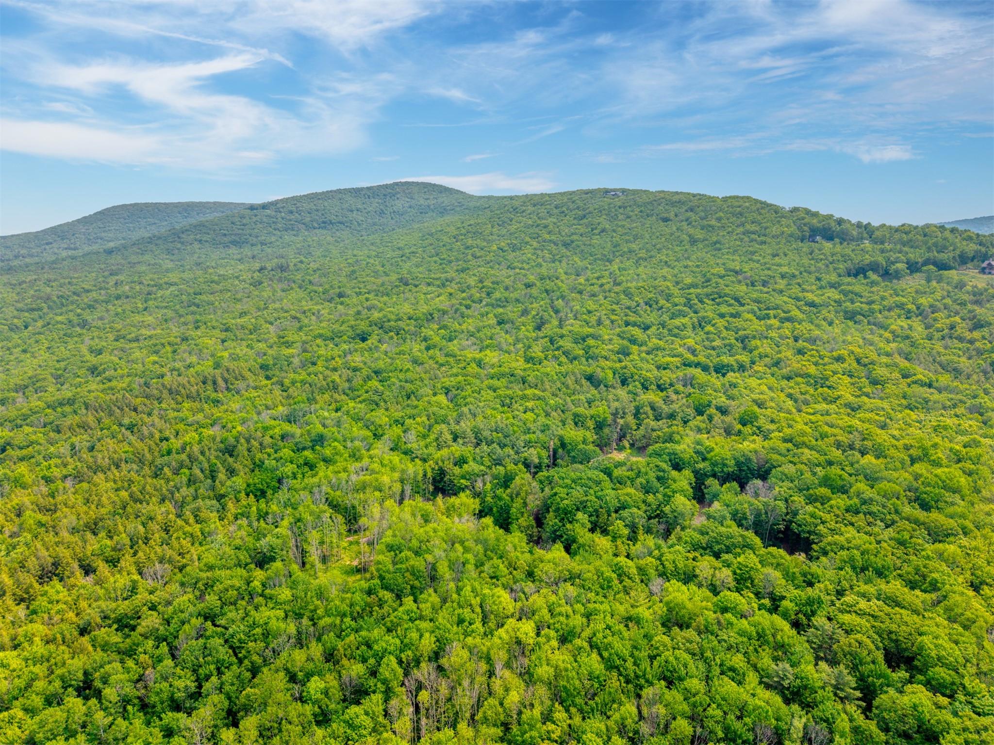 Tbd Boulder Brook Road Windham, NY 12496 - Photo 22 of 40 a view of an mountain