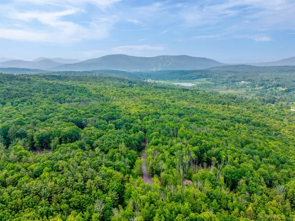 a view of a green field with lots of bushes