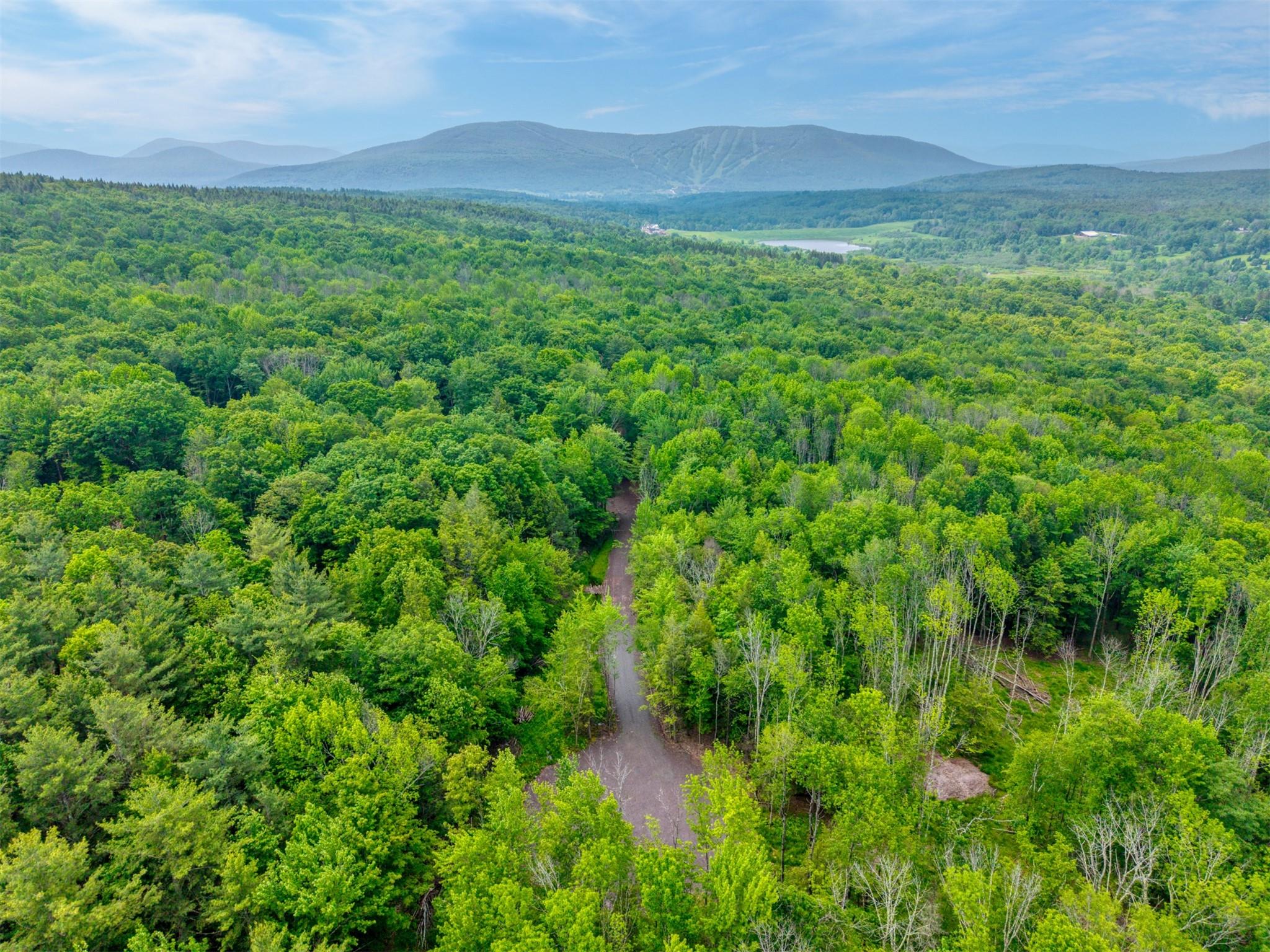 Tbd Boulder Brook Road Windham, NY 12496 - Photo 26 of 40 a view of a lush green forest with a mountain