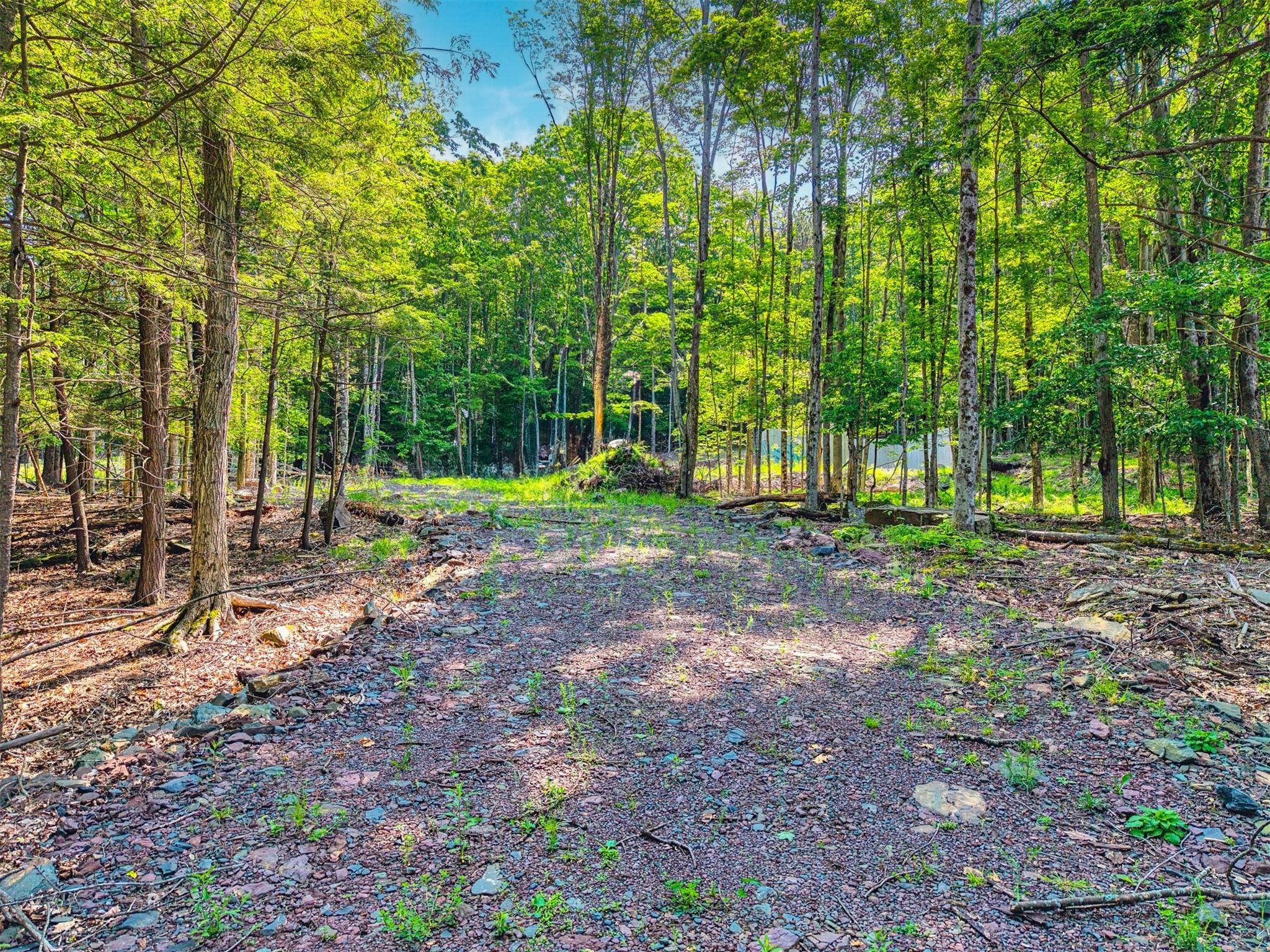 Tbd Boulder Brook Road Windham, NY 12496 - Photo 32 of 40 a view of outdoor space with trees