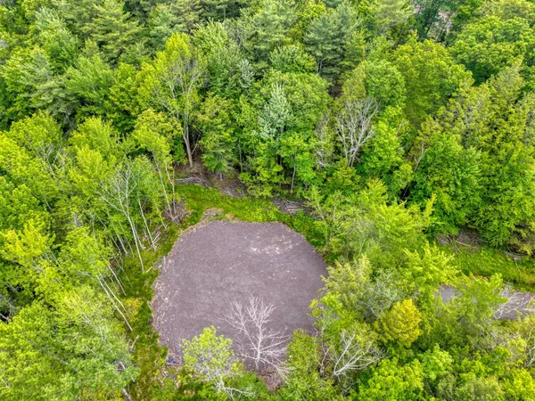 a backyard of a house with a tree