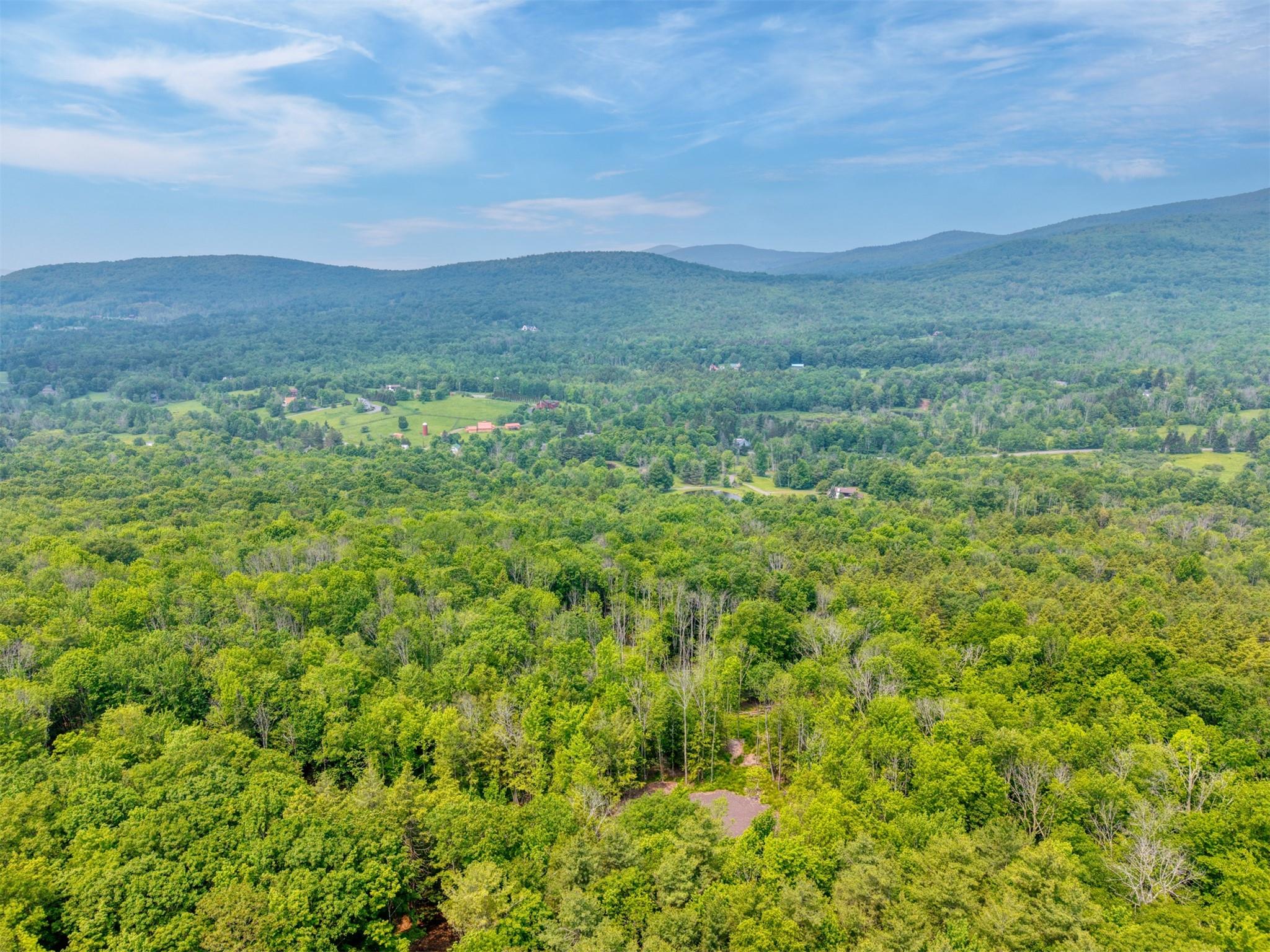 Tbd Boulder Brook Road Windham, NY 12496 - Photo 39 of 40 a view of an mountain