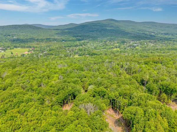 a view of an ocean from a yard