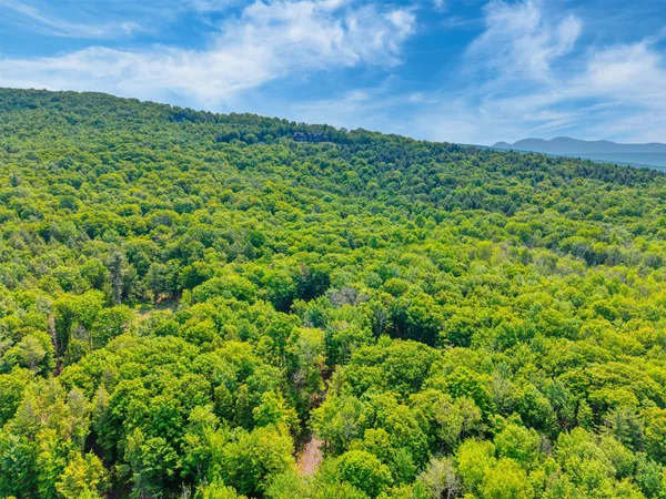 a view of a large yard with lots of green space