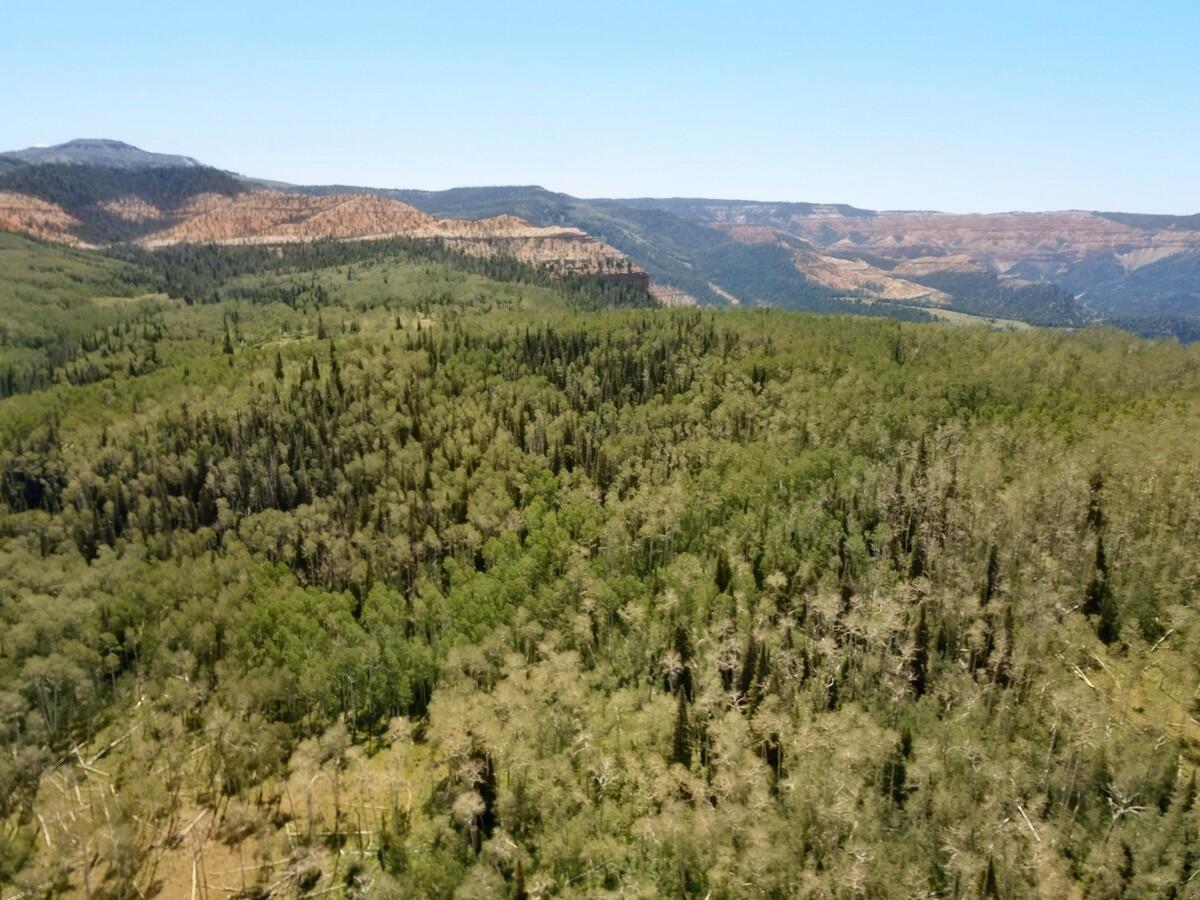 40 Acres Summit Mountain Road Brian Head, UT 84719 - Photo 29 of 32 Aerial7