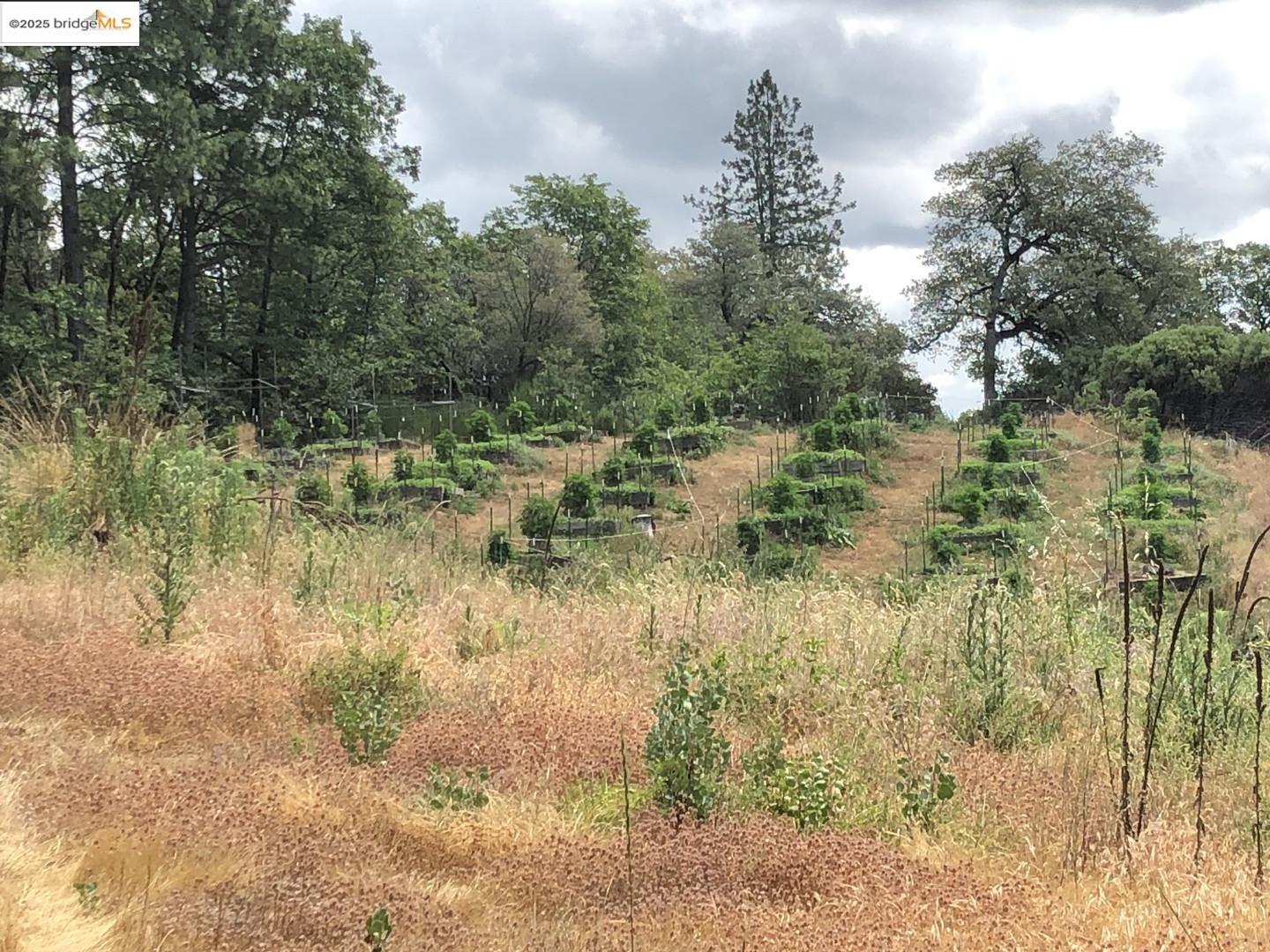 15003 Alleghany Road North San Juan, CA 95960 - Photo 11 of 27 a view of lake with green space