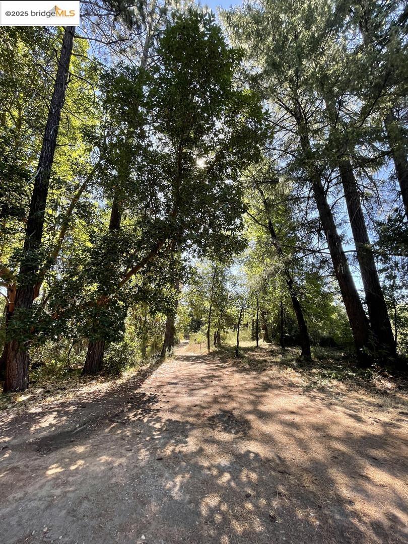 15003 Alleghany Road North San Juan, CA 95960 - Photo 14 of 27 a view of outdoor space with trees