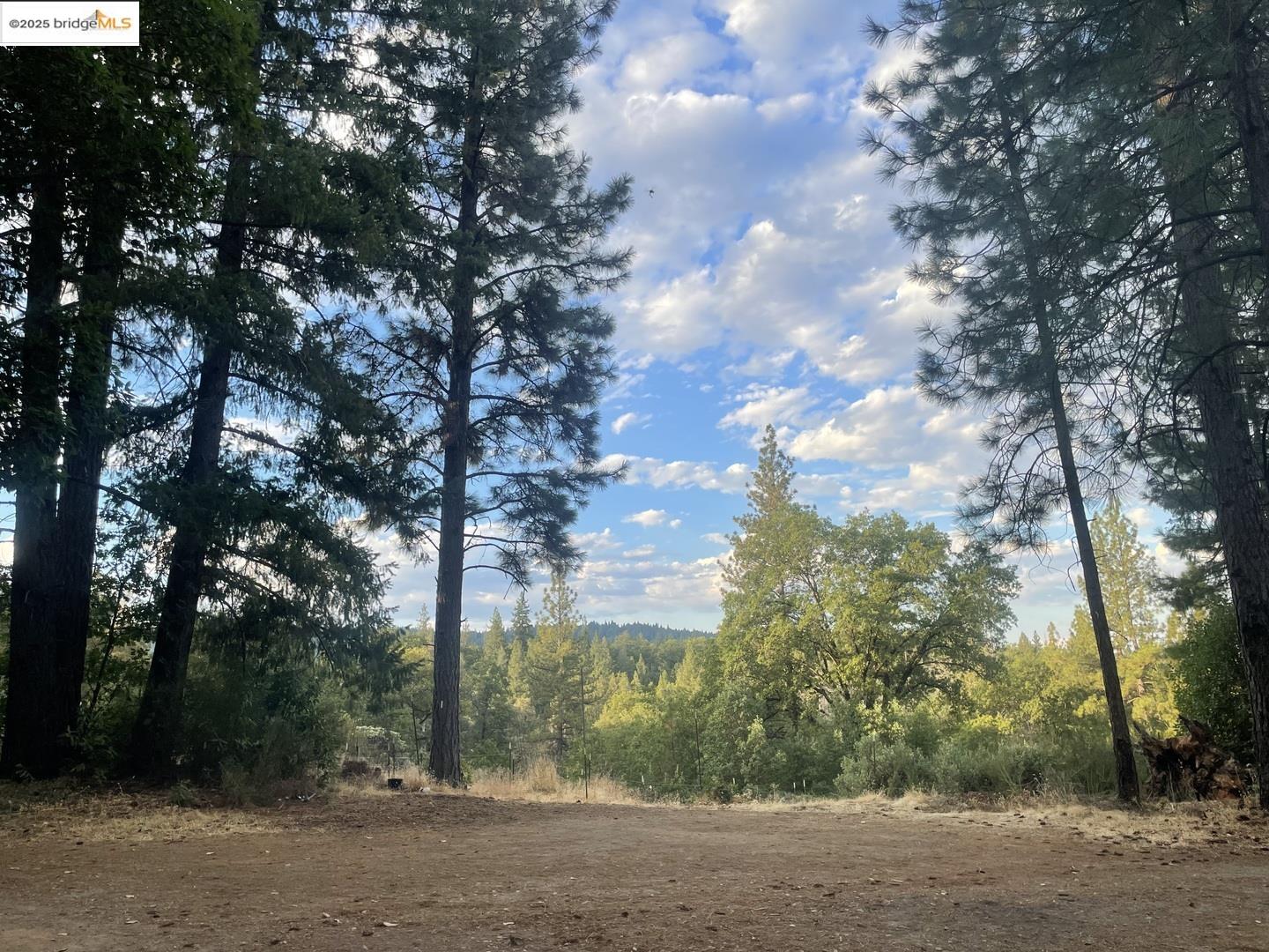 15003 Alleghany Road North San Juan, CA 95960 - Photo 15 of 27 a view of a city with lots of trees