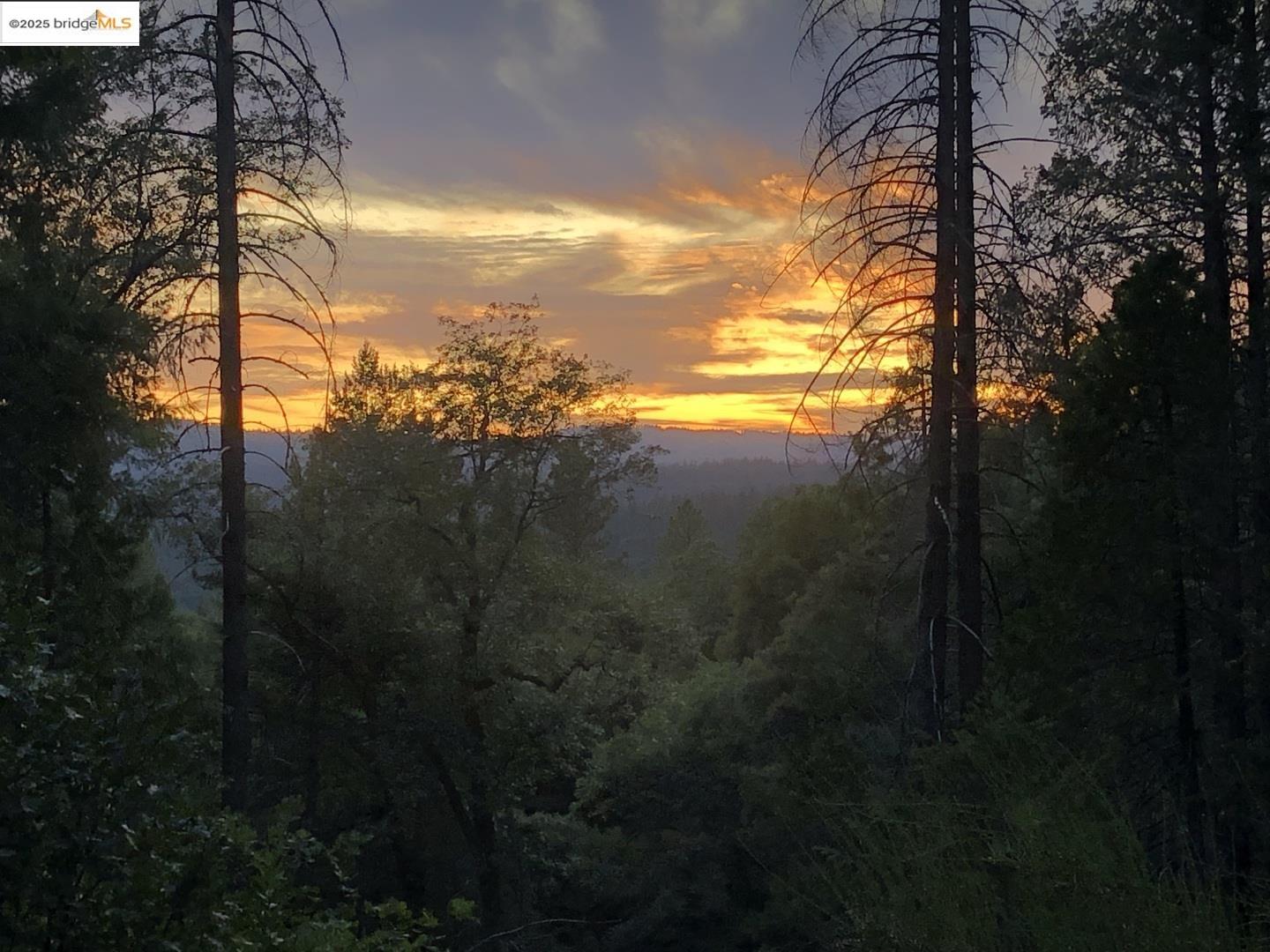 15003 Alleghany Road North San Juan, CA 95960 - Photo 16 of 27 a view of a lake from a yard