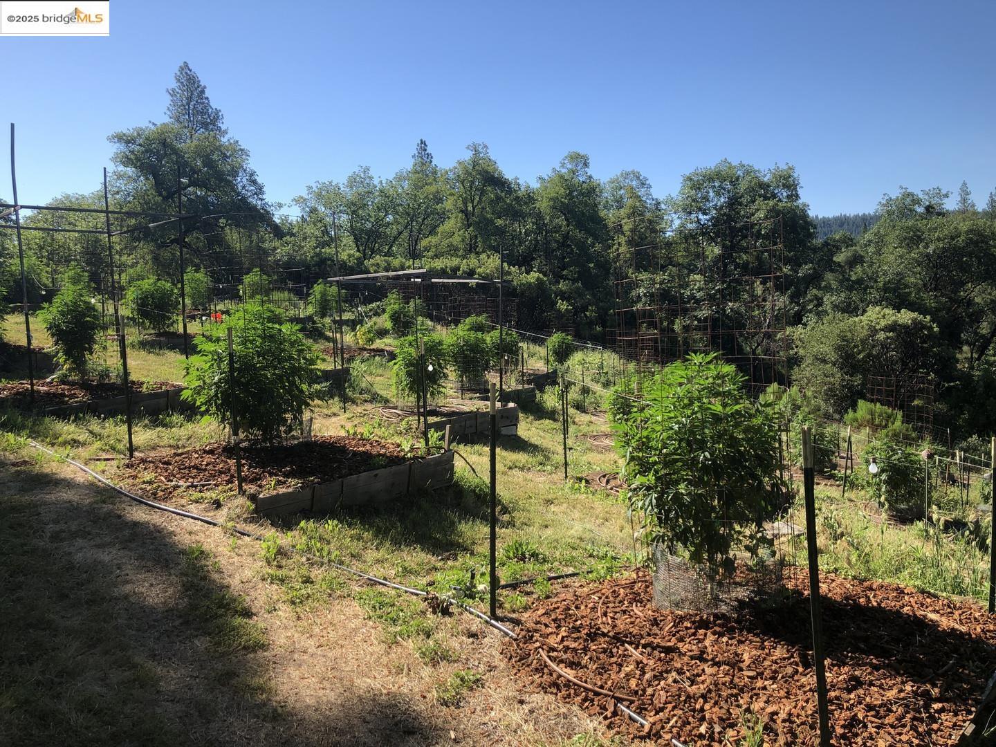 15003 Alleghany Road North San Juan, CA 95960 - Photo 17 of 27 a view of a garden