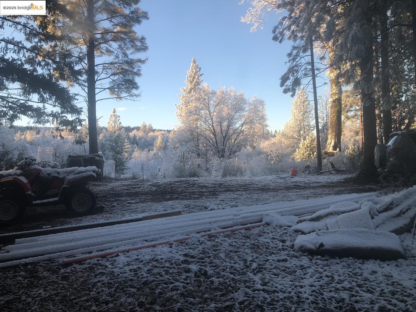 15003 Alleghany Road North San Juan, CA 95960 - Photo 20 of 27 a view of a yard